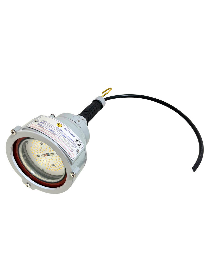 Luminária LED Exd portátil com punho · 30 W
